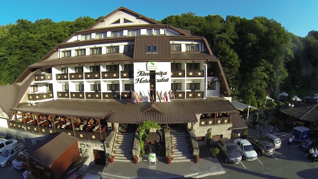 Hotel Fantanita Haiducului Bradu  المظهر الخارجي الصورة