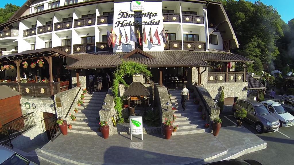 Hotel Fantanita Haiducului Bradu  المظهر الخارجي الصورة